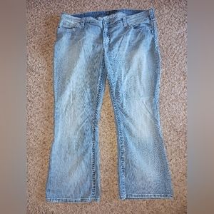 Silver Suki Jeans Plus Size 24 x 30